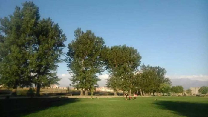 Alianza entre Corporación Cultiva y Rushters ® permitirá reapertura del Parque San Luis Orione de Cerrillos