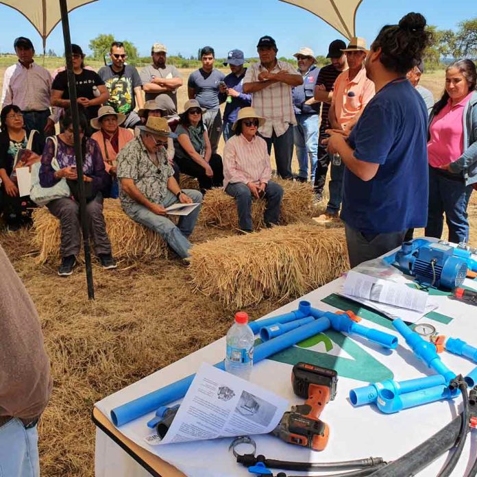 Tradicional “Día de Campo” reúne a más de 100 agricultores en INIA Hidango