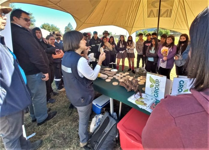 INIA desarrolló probióticos endófitos para fomentar producción agrícola sostenible