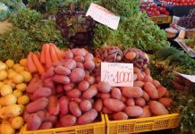 INIA se adjudica PDT de Corfo para disminuir brechas de inocuidad en la producción hortícola en Chiloé