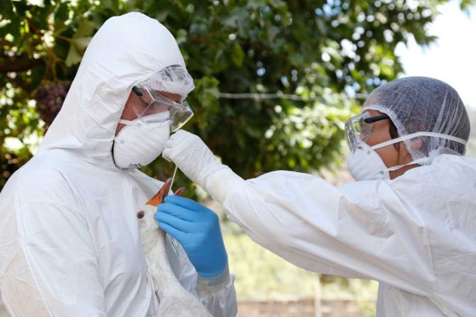 Ministro Valenzuela confirma primer caso de influenza aviar H5N1 en ave silvestre encontrada en Arica