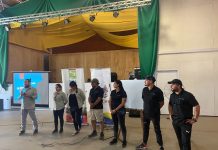 Plaga chinche pintada en cultivos hortícolas