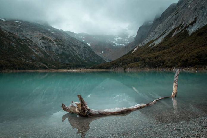 Revista Science publica carta que pide cambios en la estrategia de conservación de la Patagonia