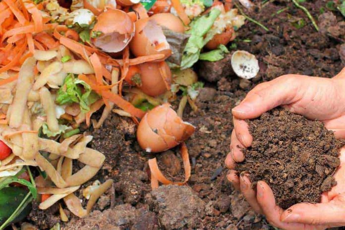 Seminario regional visibilizó el alto potencial de los desechos alimenticios