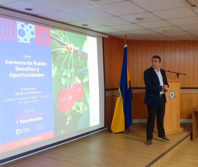 Agronomía UdeC realizó taller sobre “Cerezas de Ñuble Desafíos y Oportunidades”