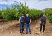 Atacama Sitio de inspección fitosanitaria para la uva de mesa bajo Systems Approach ya tiene ubicación