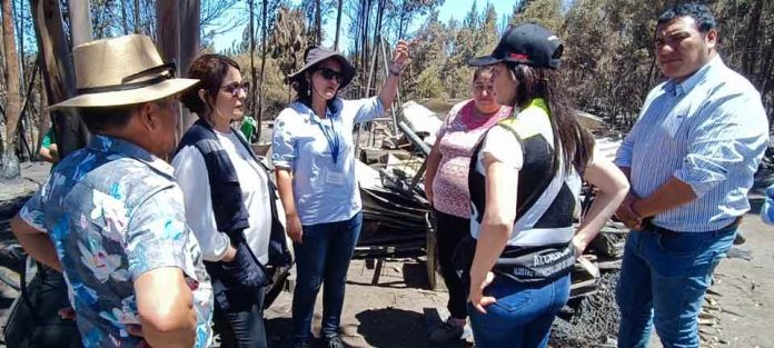 Comenzó levantamiento de información por agricultores afectados en incendio forestal de Santa Juana y Nacimiento 