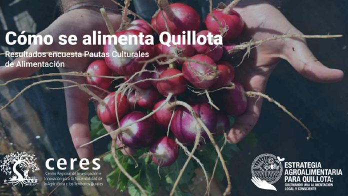 Cómo se alimentan las y los quillotanos: Inédito estudio indaga pautas culturales de alimentación de la comuna