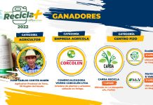 Conoce a los ganadores de la segunda versión del Concurso Recicla Más CampoLimpio 2022