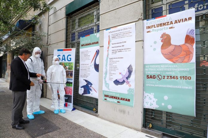 “Evitemos la Influenza Aviar” Gobierno refuerza campaña con especial llamado a turistas que frecuenten zonas costeras durante vacaciones