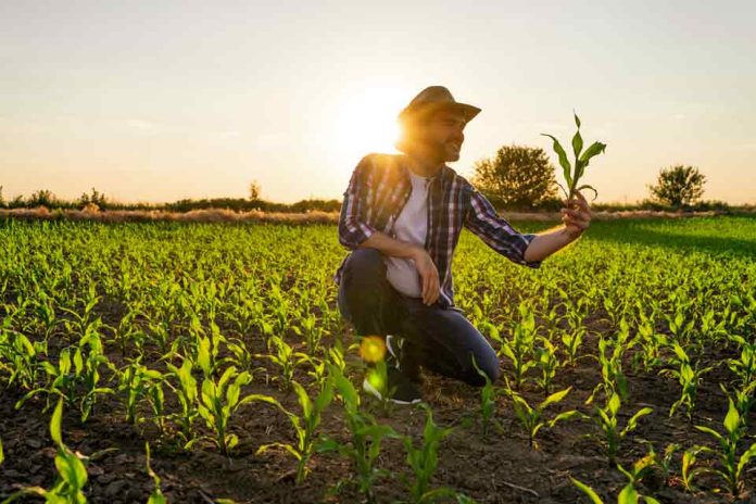 Investigadores UAI realizarán estudio sobre microorganismos que aceleran el crecimiento de plantas con miras a fortalecer una agricultura sostenible en Chile