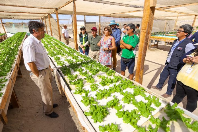 Ministerio de Agricultura reafirma compromiso para entregar terreno productivo para agricultores de Mejillones