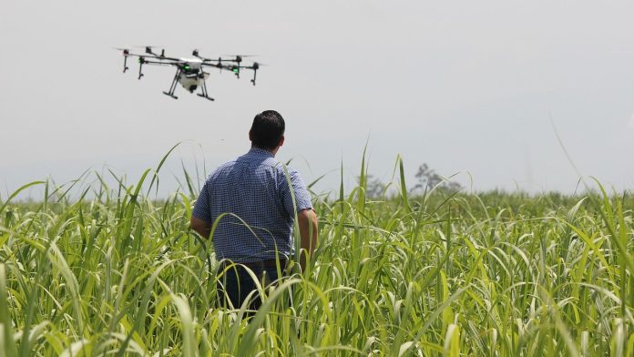 Proyecto Corfo Fortalece Pyme Aconcagua Quillota potenciará nuevas tecnologías en agricultores locales