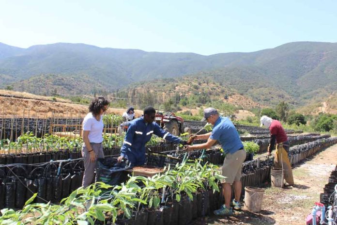 Sostenibilidad con enfoque de género en Agrícola La Quebrada del Ají