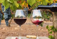 ¿Cómo el sector vitivinícola gestiona su última milla