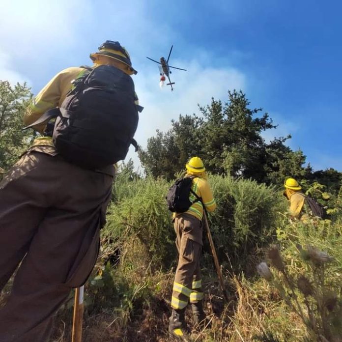 CONAF confirma gran despliegue de recursos en los incendios forestales del centro-sur del país