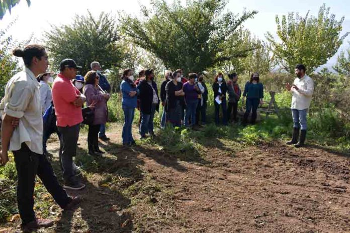 Ceres liderará proyecto FIC-R que diseñará modelo de agricultura sostenible para la región de Valparaíso