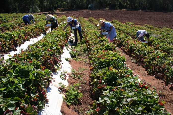 Cooperativas crecieron un 10,8% durante 2022 1 de cada 10 chilenos es socio