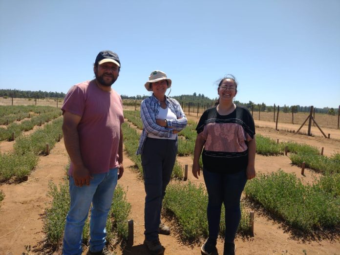 Granja la Pachamama sustentabilidad y economía circular