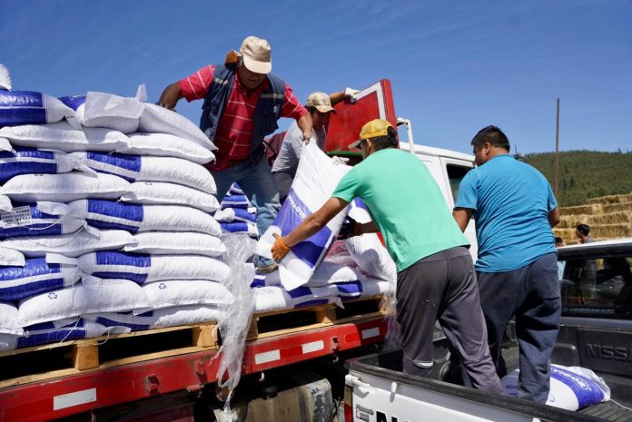 Más de 400 millones en dinero y especies ha entregado INDAP en ayuda a pequeños agricultores y agricultoras afectadas por los incendios