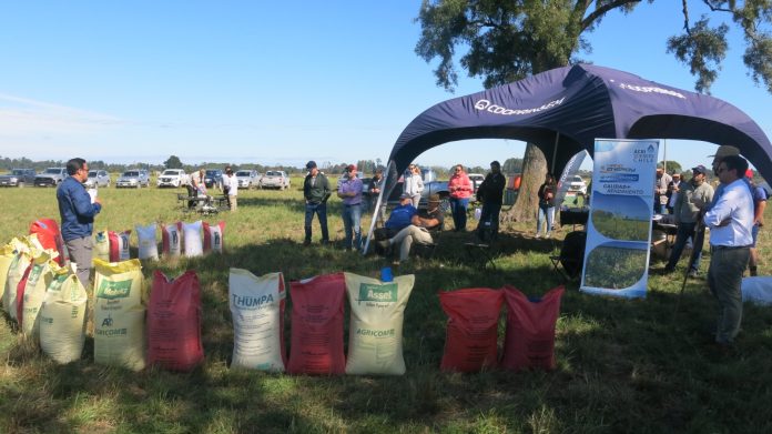 Productores conocieron variedades y especies forrajeras en un nuevo Día de Campo