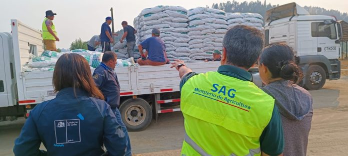 alimento animal para enfrentar la emergencia en la región del Biobío