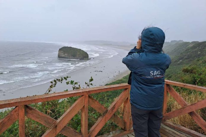 SAG Los Lagos confirma primer caso de Influenza Aviar