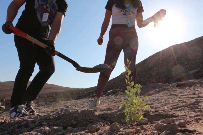 Parque Urbano Santa Rosa incorpora más vegetación en pleno desierto