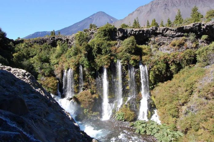 Restauración y protección de bosques impactan también en regulación del ciclo del agua