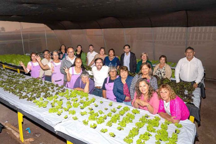 Agricultoras de Caleta Urco implementarán innovador sistema energético para producción hidropónica