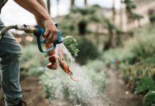 Análisis de agua ¿Cuál es su importancia en la Agricultura?. Sensor de caudal
