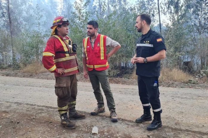 CONAF confirmó que parques nacionales tuvieron afectación mínima por incendios forestales