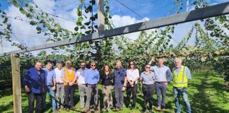 Chile y Nueva Zelanda: Dos potencias exportadoras de frutas del hemisferio sur buscan estrechar lazos y avanzar en la cooperación