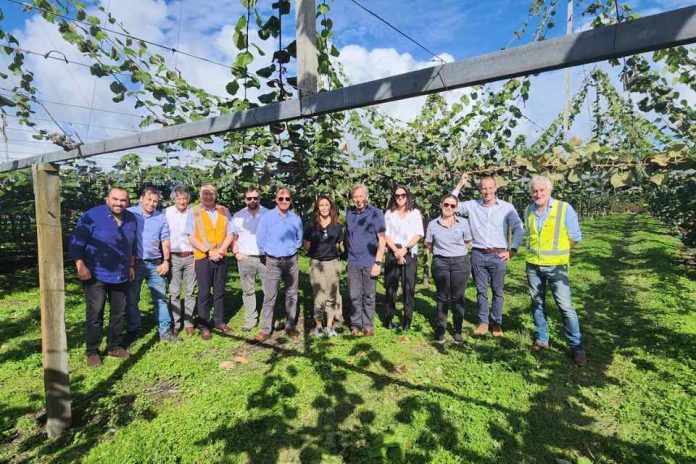 Chile y Nueva Zelanda: Dos potencias exportadoras de frutas del hemisferio sur buscan estrechar lazos y avanzar en la cooperación