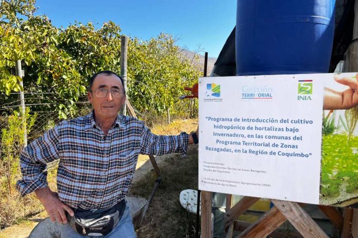 Familias campesinas podrían generar ingresos extra con sistema de cultivo hidropónico