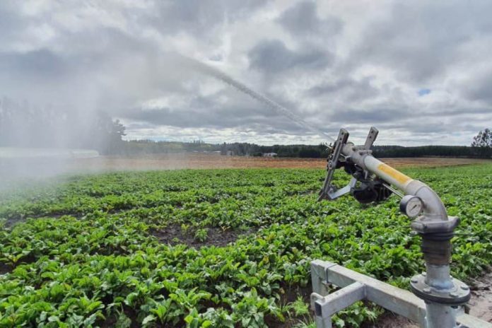 Gobierno dispondrá de $11.500 millones para potenciar proyectos de riego en la región del Biobío 