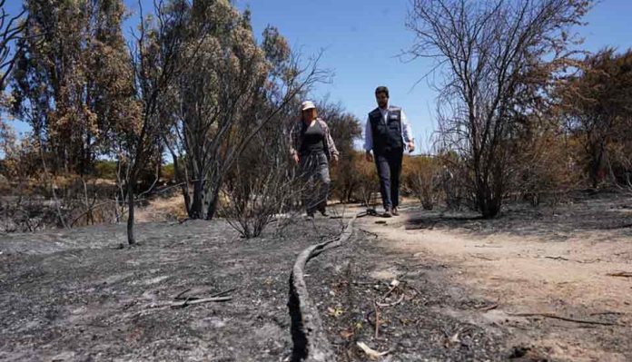 INDAP ENTREGA PRIMEROS BONOS DE 1 Y 3 MILLONES DE PESOS A PEQUEÑOS AGRICULTORES AFECTADOS POR INCENDIOS