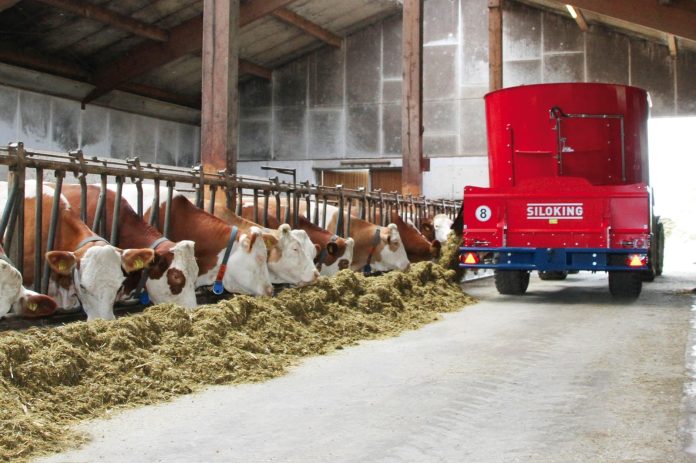 Industria lechera ¿Por qué la maquinaria es tan importante para una producción eficiente