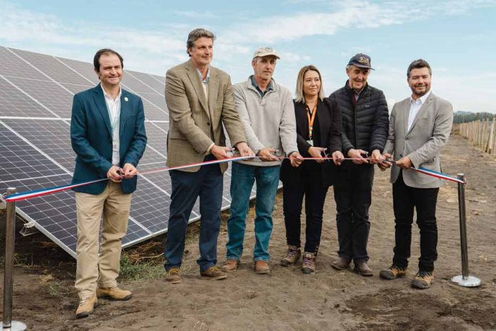 Lácteos Matthei y Colbún inauguran planta de energía solar en Yumbel