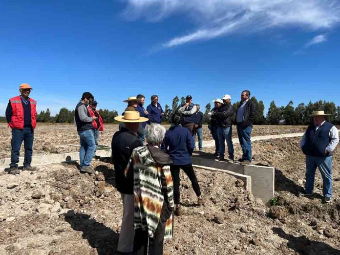 Regantes de Ñiquén logran revestimiento de canales gracias a INDAP y Gobierno Regional de Ñuble