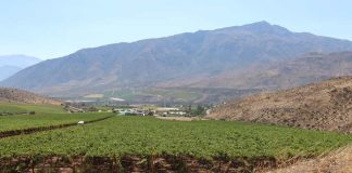 Científicos de la fruta aterrizarán en la región para responder a desafíos del cambio climático en el campo