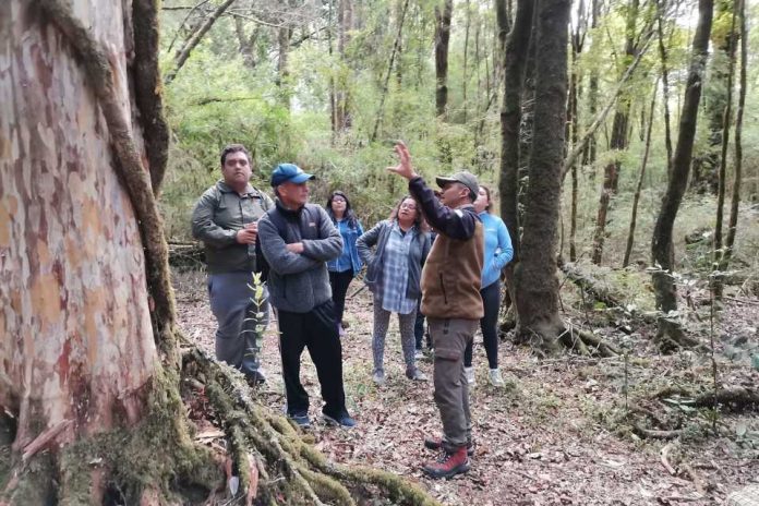 Guardaparques y comunidad trabajarán para combatir cambio climático en parques nacionales y otras áreas protegidas