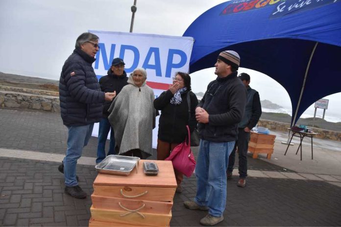 INDAP ÑUBLE impulsa agricultura sustentable con vermicomposteras para agricultores de Cobquecura, Ninhue y Quirihue