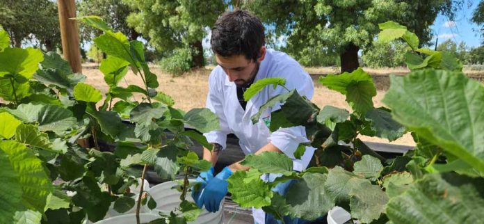 INIA lanza el Centro Nacional de Bioinsumos para disminuir el uso de agroquímicos en el país