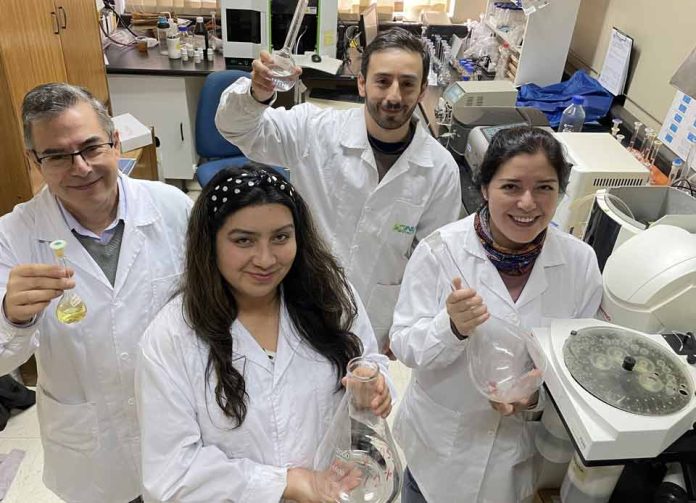 Laboratorio de Nutrición Animal de INIA Remehue obtiene destacados resultados a nivel latinoamericano