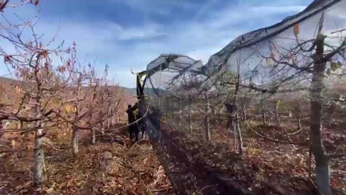 Mallas agrícolas para protección de frutales