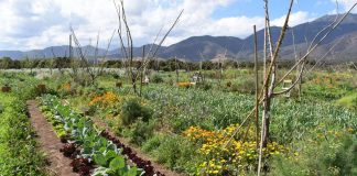 Región de Valparaíso será pionera en implementación de modelo sostenible de agricultura