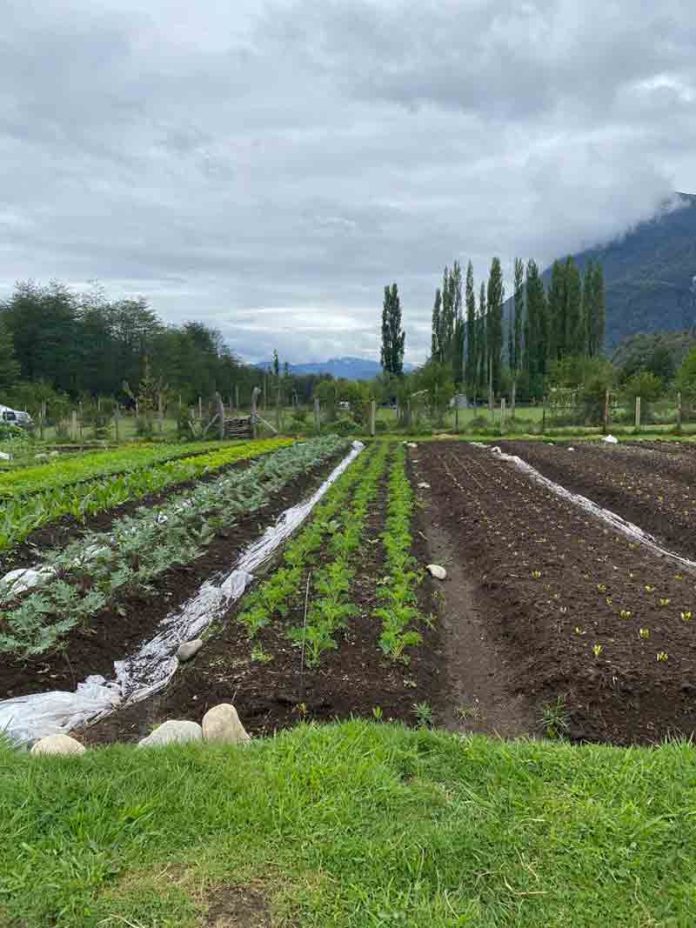 INDAP y Seremi de Agricultura: Entregan recomendaciones  para cuidado de frutales y hortalizas en época de receso invernal