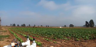 Regantes de Atacama y Coquimbo podrán repostular sus iniciativas de tecnificación, pozos y de acumulación en concurso nacional de la CNR