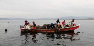 UCN desarrollará granjas marinas para potenciar la acuicultura de pequeña escala en la región de Coquimbo